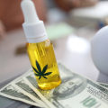 From Roots To Rewards: Michigan's Dispensary Loyalty Programs And The Rise Of Hemp Hydroponics