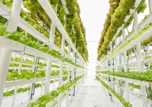 Can you make money hydroponic farming?
